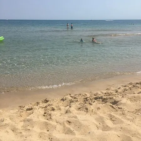 8 In Sand Lilies